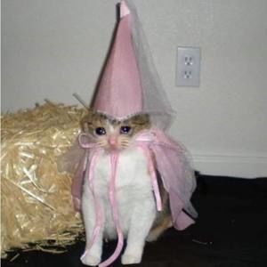 Meet your Posher, Danny